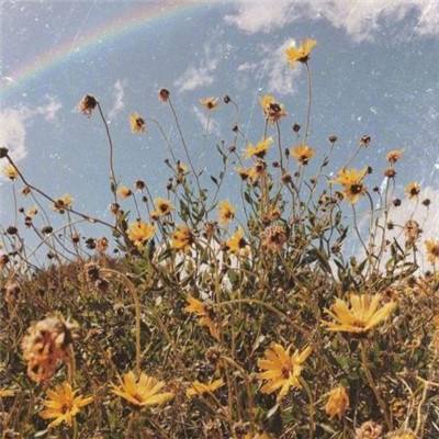 威尼斯欢乐娱人棋牌app下载